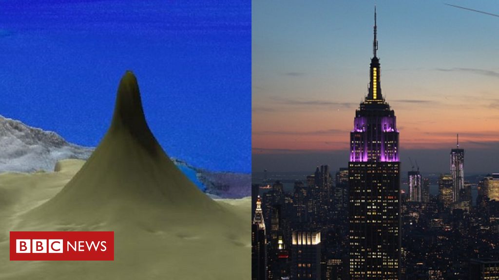 Great Barrier Reef: Scientists find reef taller than Empire State Building