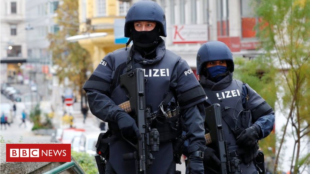 Vienna attack: Austria admits failing to act on Slovak warning on gunman