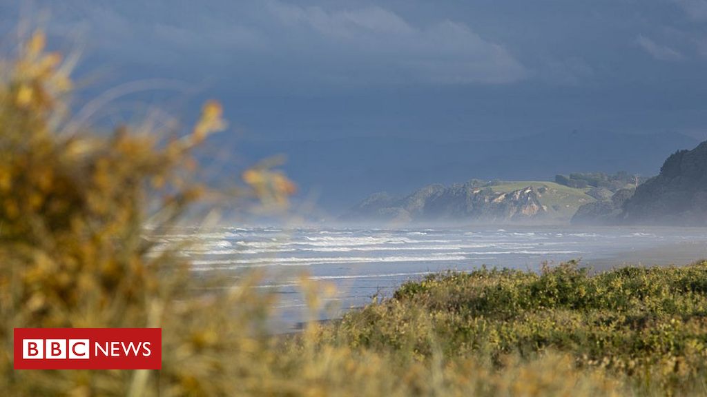 New Zealand earthquakes: Tsunami warnings raised after series of quakes